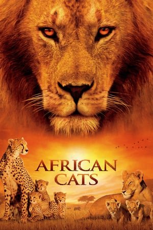 აფრიკული კატები  / afrikuli katebi  / African Cats