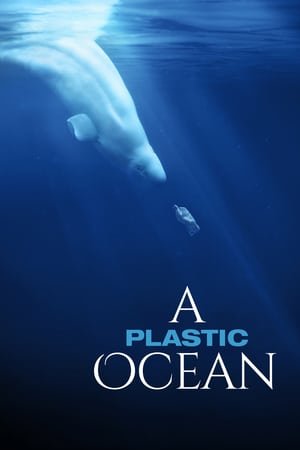 პლასტიკური ოკეანე  / plastikuri okeane  / A Plastic Ocean