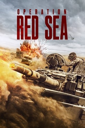 ოპერაცია წითელი ზღვა / Operation Red Sea