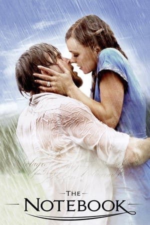 უბის წიგნაკი | The Notebook