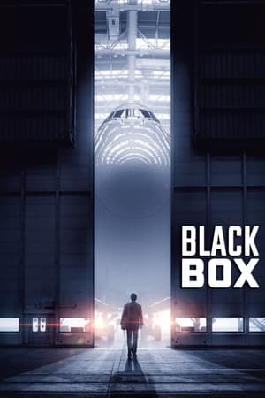 შავი ყუთი ქართულად | Black Box