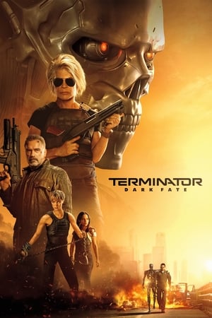 ტერმინატორი 6 : ბნელი ბედი / Terminator: Dark Fate