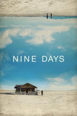 ცხრა დღე / NINE DAYS