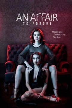 დასავიწყებელი რომანი | AN AFFAIR TO FORGET