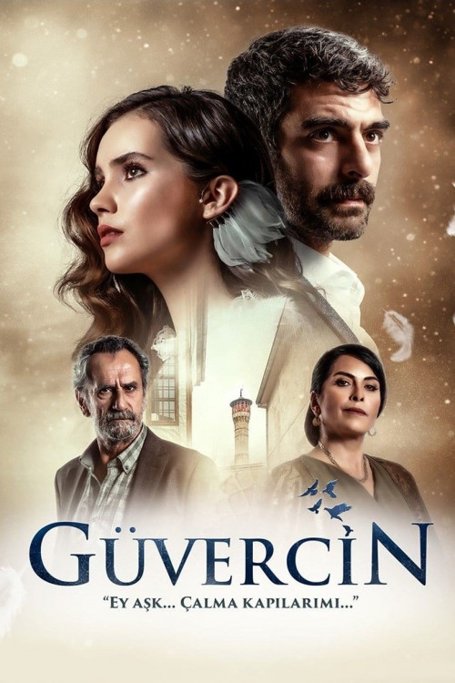 The Pigeon (Güvercin)