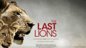 The Last Lions