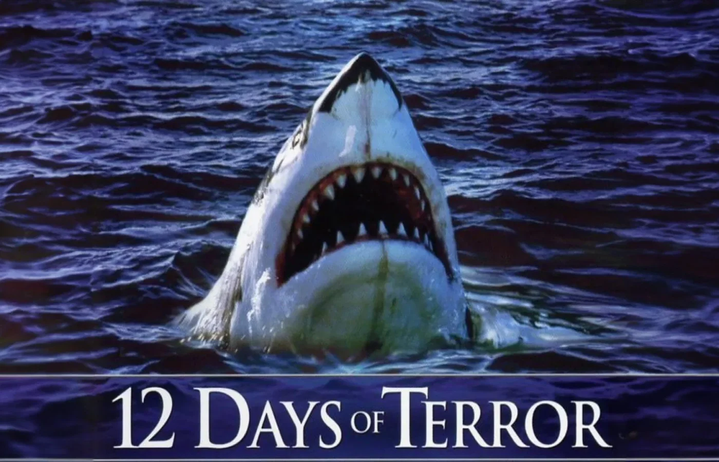 12 Days of Terror